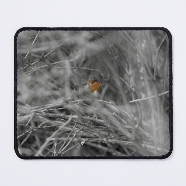 Item preview, Robin resting in thorn bush designed and sold by Nigel Dean.