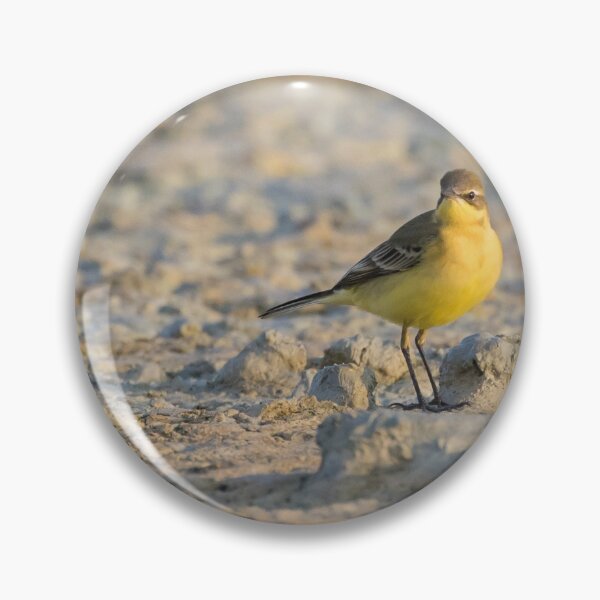 Item preview, Yellow Wagtail designed and sold by LaurenTucker.