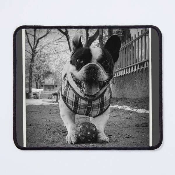 Item preview, Dog with ball designed and sold by Christine Mignon.
