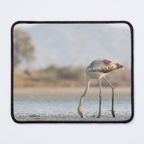 Item preview, Greater Flamingo designed and sold by LaurenTucker.