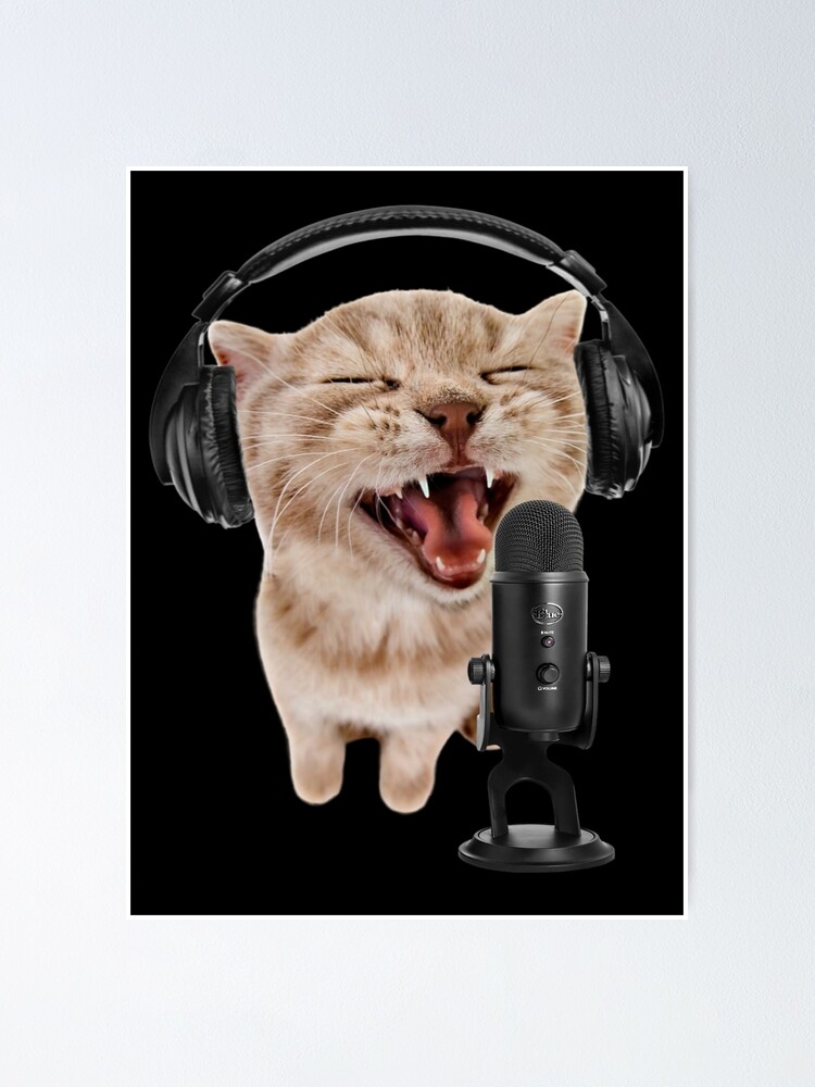 "Singer Cat Rapping Meow Rap Meme " Poster by fomodesigns Redbubble