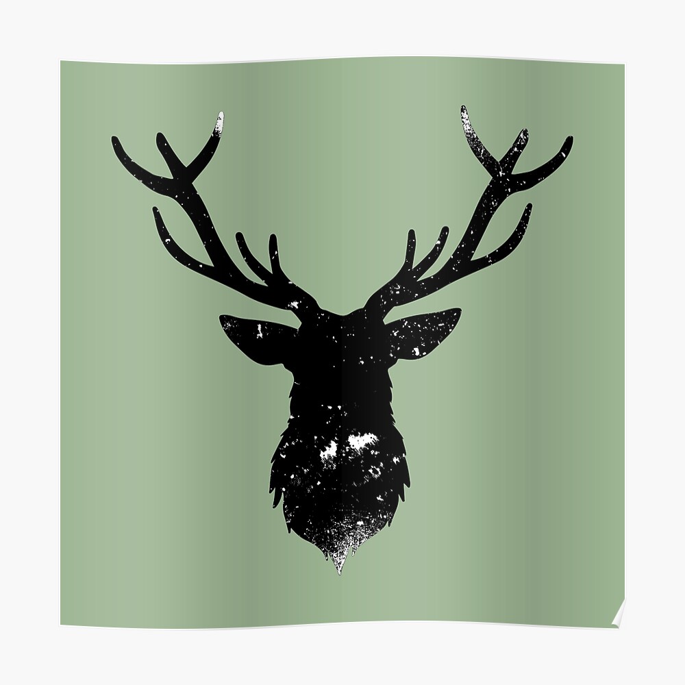 Image of Hydrangea deer black with green antler