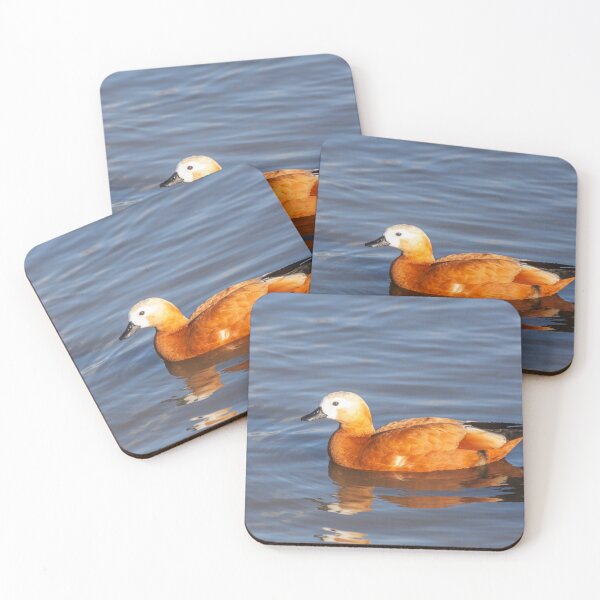 Item preview, Female Ruddy Shelduck designed and sold by Graham Prentice.