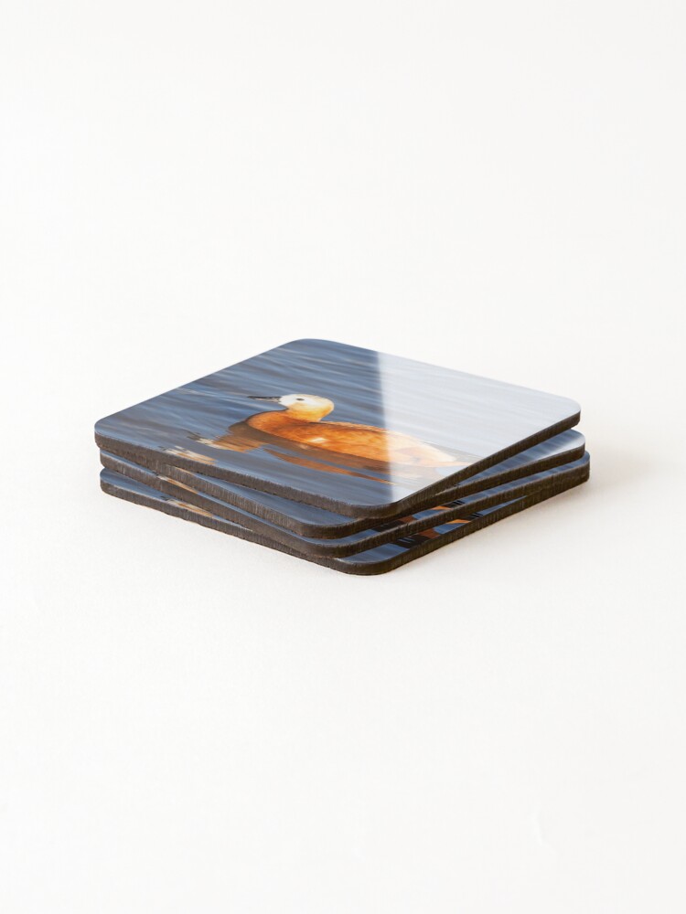 Thumbnail 4 of 5, Coasters (Set of 4), Female Ruddy Shelduck designed and sold by GrahamPrentice.