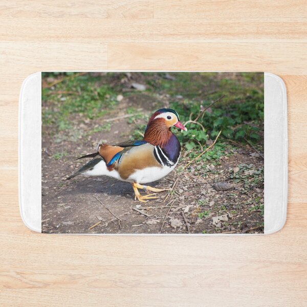 Artikelvorschau, Mandarin Duck entworfen und verkauft von Graham Prentice.