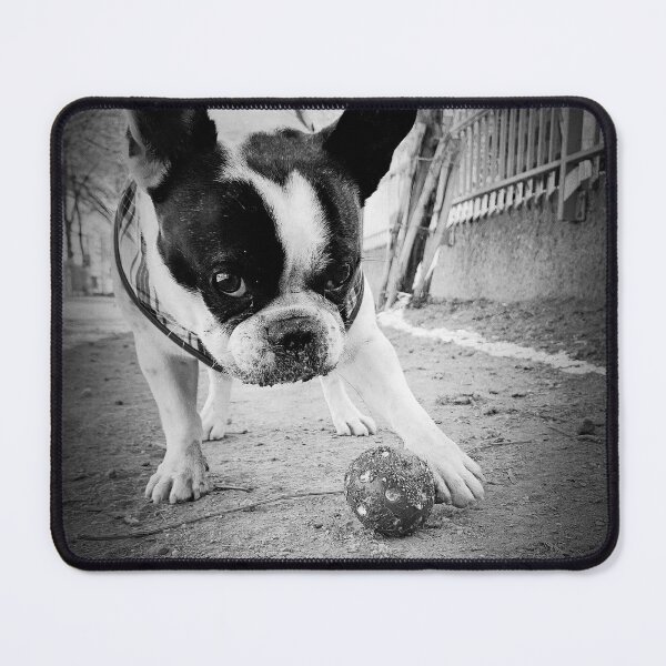 Item preview, He just wants to play ... designed and sold by Christine Mignon.
