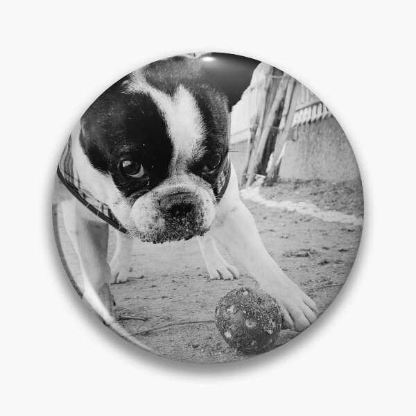 Item preview, He just wants to play ... designed and sold by Christine Mignon.
