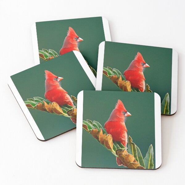 Item preview, Male Cardinal  designed and sold by Anthony Goldman.