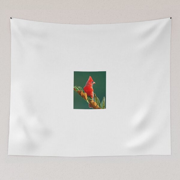 Item preview, Male Cardinal  designed and sold by Anthony Goldman.