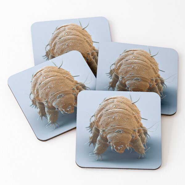 Item preview, Water Bear or Tardigrade designed and sold by ScienceSource.