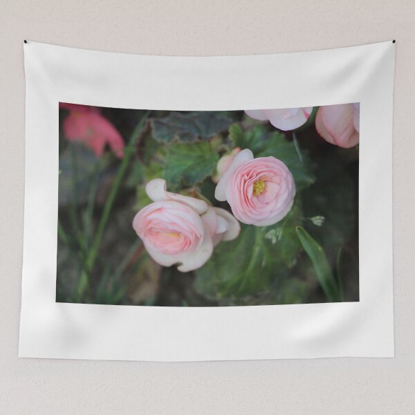 Item preview, Lovely Light Pink Reigor Begonia Flowers designed and sold by JariHawk.