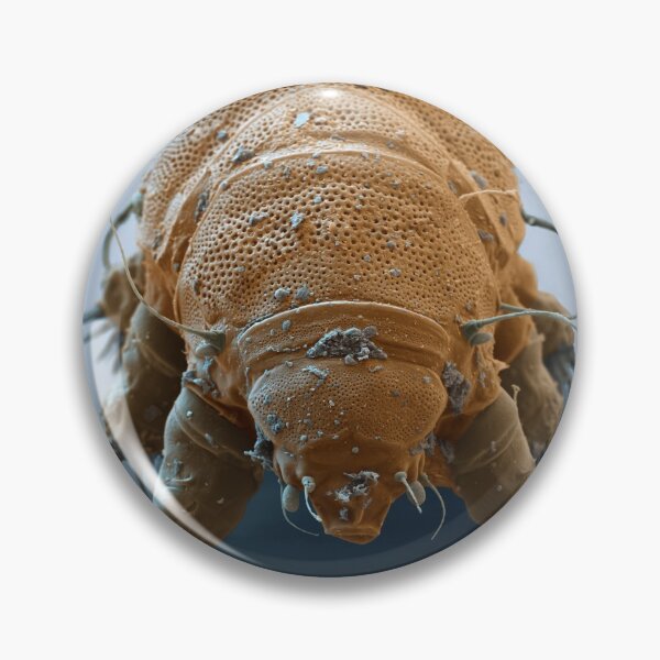 Item preview, Water Bear or Tardigrade designed and sold by ScienceSource.