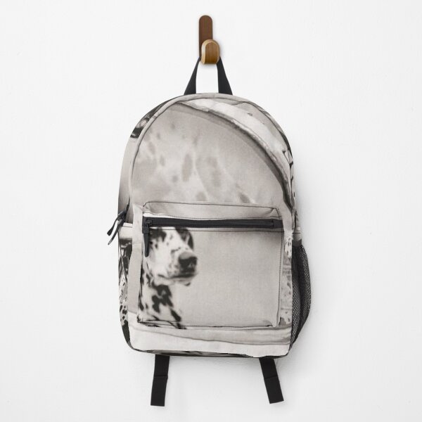 Item preview, Naomi Campbell with dalmatians designed and sold by Louiscardin.