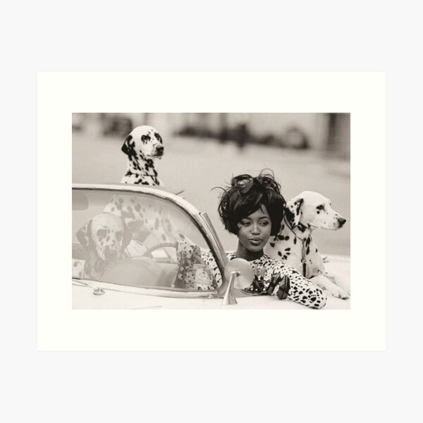 Aperçu de l'œuvre Naomi Campbell et ses dalmatiens  créée et vendue par Louiscardin.