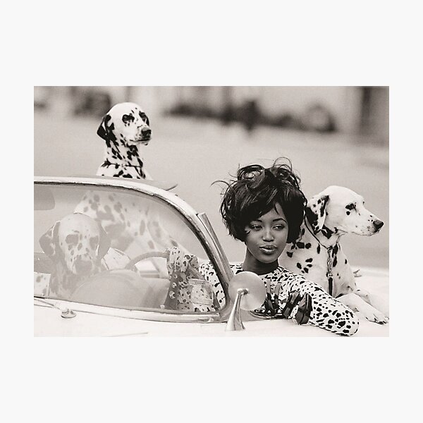 Item preview, Naomi Campbell with dalmatians  designed and sold by Louiscardin.