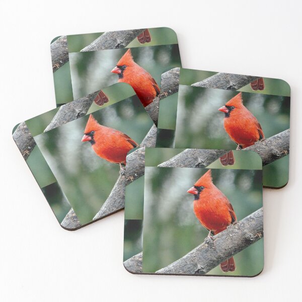 Item preview, Colourful Northern Cardinal  bird By  Yannis Lobaina  designed and sold by Yannis Lobaina Art .