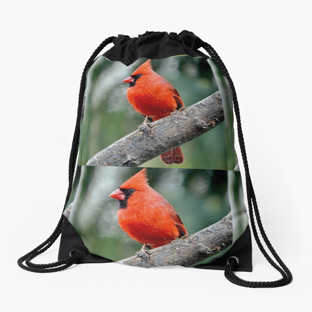 Colourful Northern Cardinal bird By Yannis Lobaina Drawstring Bag