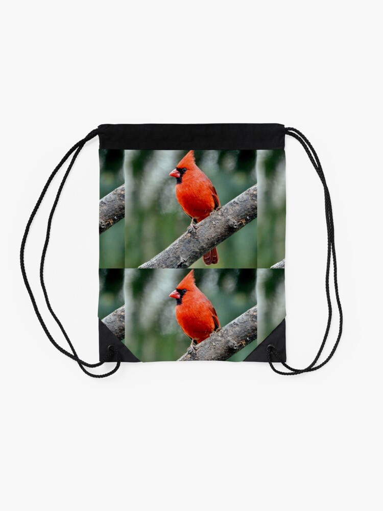 Alternate view of Colourful Northern Cardinal  bird By  Yannis Lobaina  Drawstring Bag