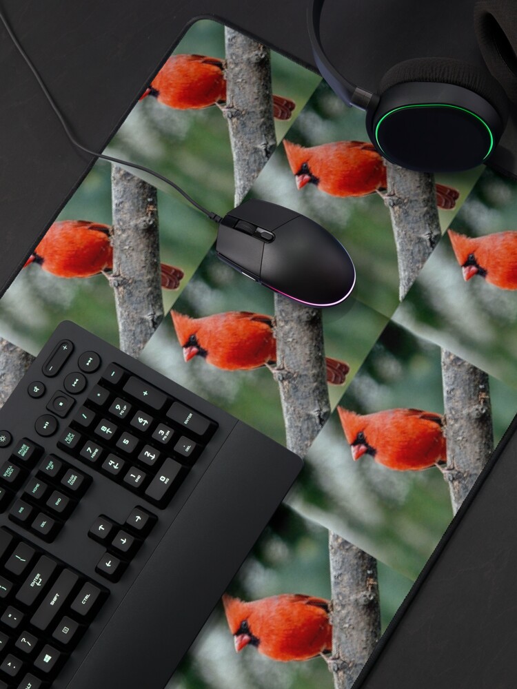 Alternate view of Colourful Northern Cardinal bird By Yannis Lobaina Mouse Pad