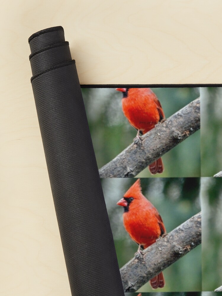 Alternate view of Colourful Northern Cardinal bird By Yannis Lobaina Mouse Pad