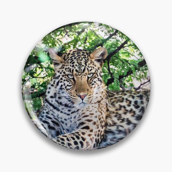 Item preview, Female Leopard Shelters From Sun designed and sold by Graham Prentice.