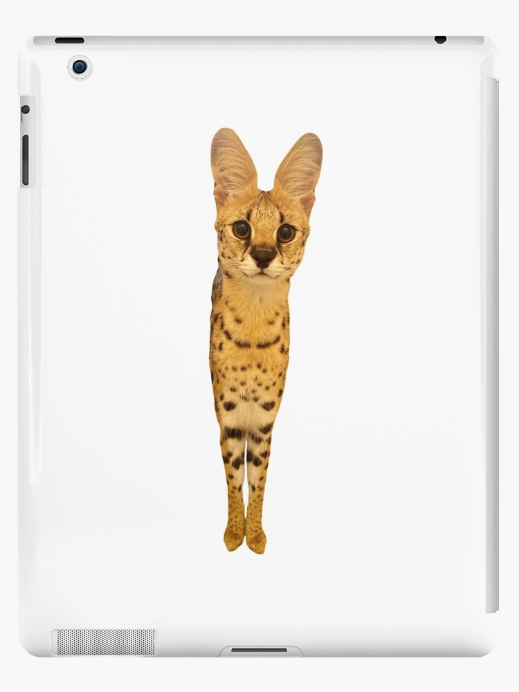 Drunk Floppa Meme Caracal Cat | iPad Case & Skin