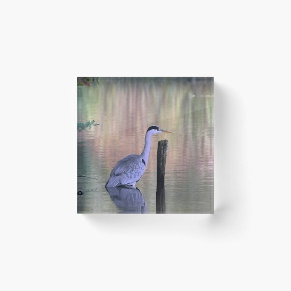 Item preview, Watercolour Heron designed and sold by GingerMan2550.