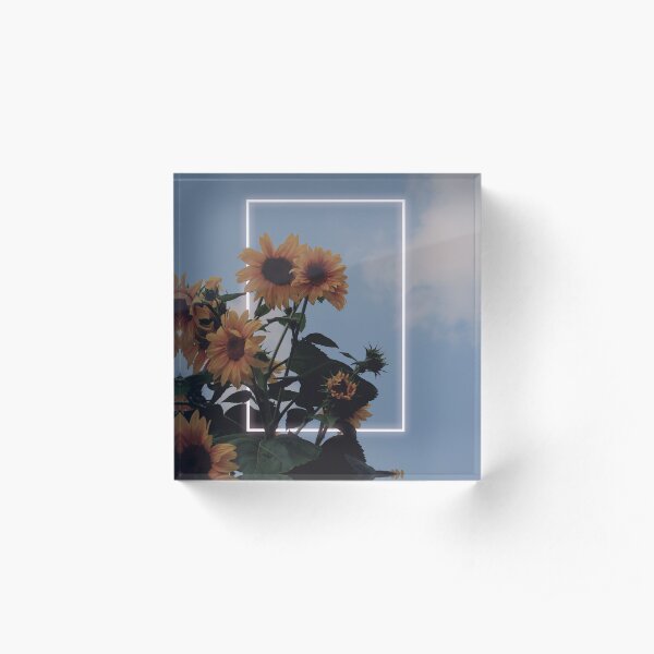 Rectangle No. 16 Acrylic Block