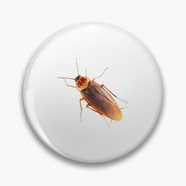 Item preview, cockroach  designed and sold by Broken Antler Designs .
