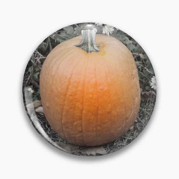 Artikelvorschau, Herbst Orange Kürbis mit Gänseblümchen Focal Schwarz-Weiß entworfen und verkauft von JariHawk.
