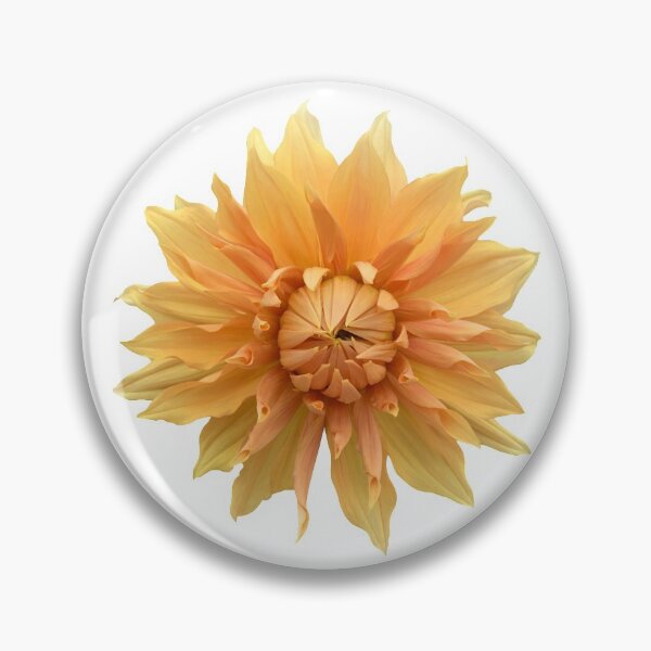Item preview, Gold Dahlia Flower Still Life Floral Photography designed and sold by CottoVerdi.