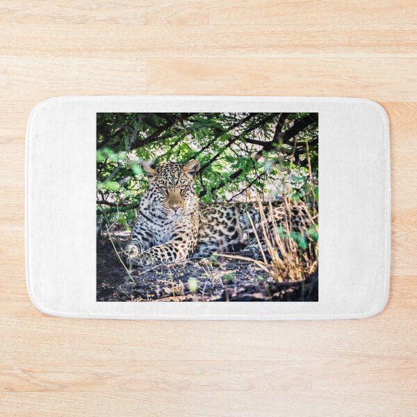 Item preview, Female Leopard Shelters From Sun designed and sold by Graham Prentice.