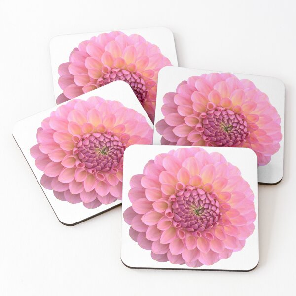 Item preview, Pink Dahlia Flower Still Life Floral Photography designed and sold by CottoVerdi.