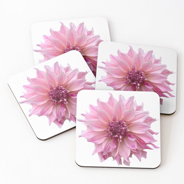 Item preview, Pink Dahlia Flower Still Life Floral Photography designed and sold by CottoVerdi.