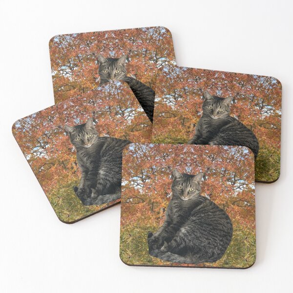 Item preview, Autumn Kitty  designed and sold by Amanda1775.