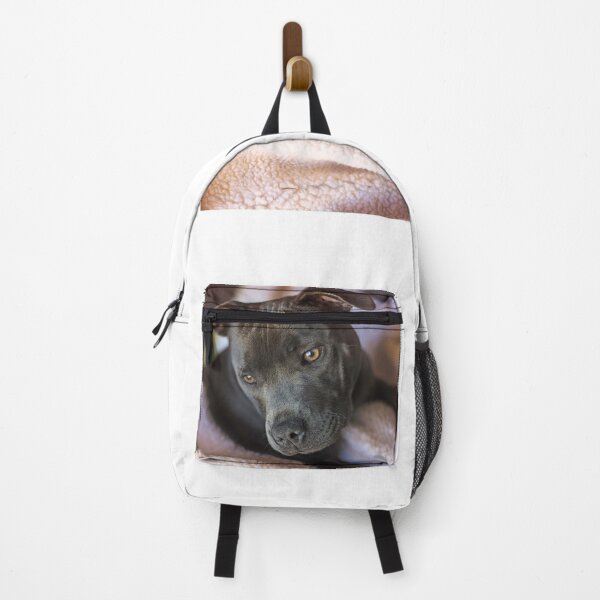 Item preview, Pure Blue Staffy designed and sold by Katrina Dimond.