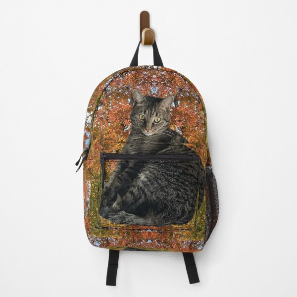 Item preview, Autumn Kitty  designed and sold by Amanda1775.