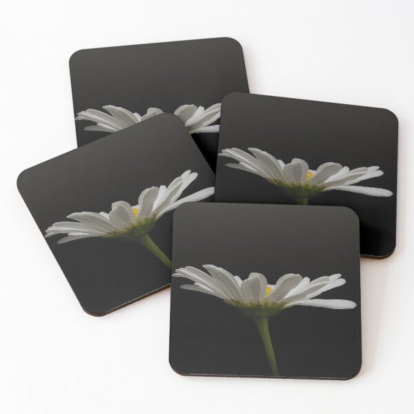 Item preview, Daisy on Black Background with Oil Paint Effect- Garden designed and sold by Lisa Thomas.
