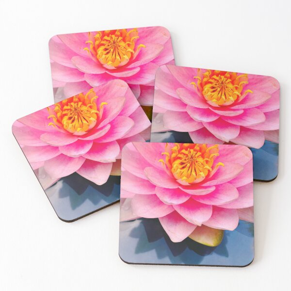 Item preview, Water lily in the pond designed and sold by Christine Mignon.