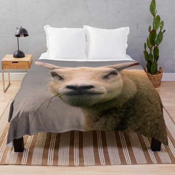 Item preview, Texel sheep portrait designed and sold by koalas1414.