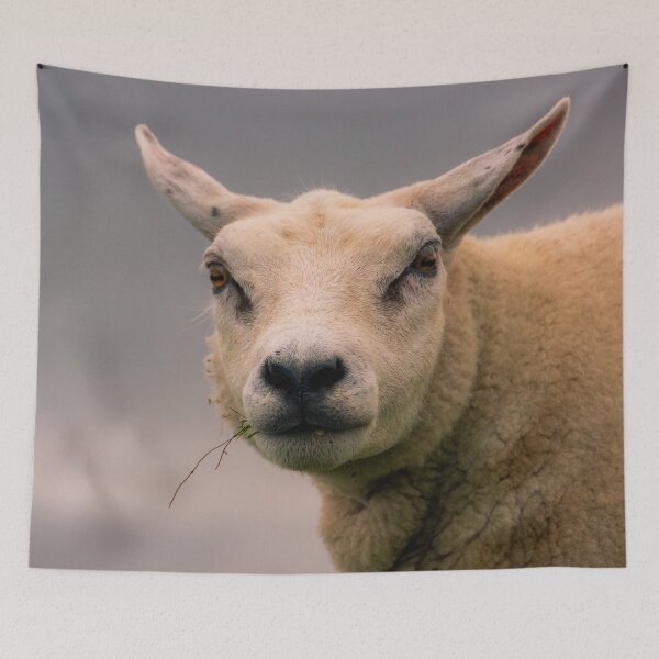 Item preview, Texel sheep portrait designed and sold by koalas1414.