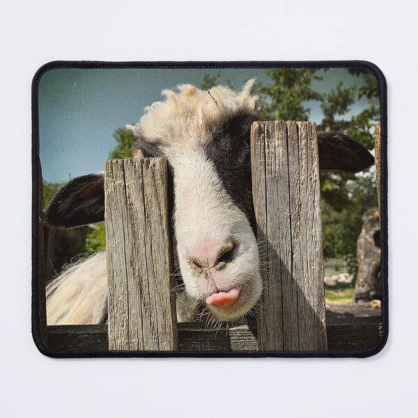 Item preview, Naughty sheep designed and sold by Christine Mignon.