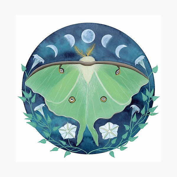 Item preview, luna moth designed and sold by LucyBrydonArt.