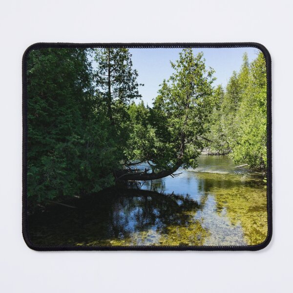 Item preview, The Crooked Cypress - Elegantly Bowed Tree, Curving Over a Crystal Clear River designed and sold by Georgia Mizuleva.