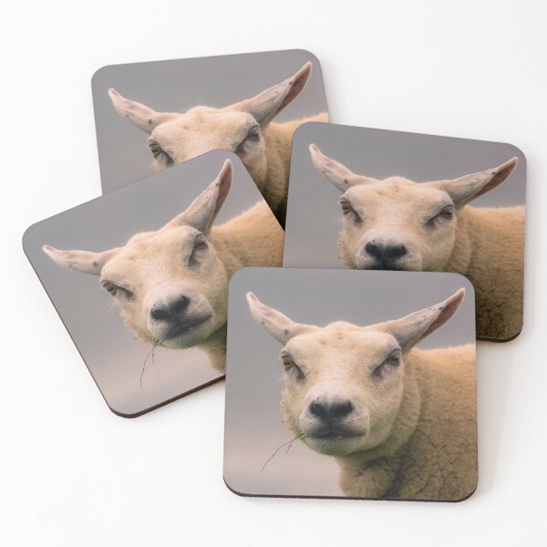 Item preview, Texel sheep portrait designed and sold by koalas1414.
