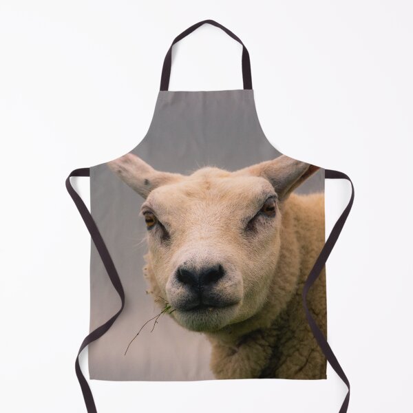 Item preview, Texel sheep portrait designed and sold by koalas1414.
