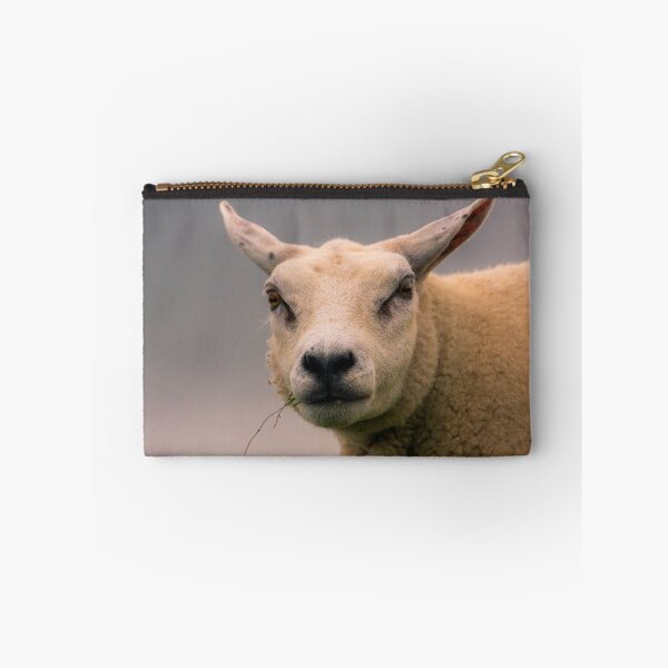Item preview, Texel sheep portrait designed and sold by koalas1414.