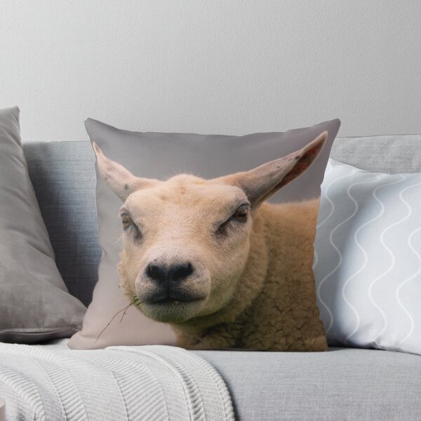 Item preview, Texel sheep portrait designed and sold by koalas1414.