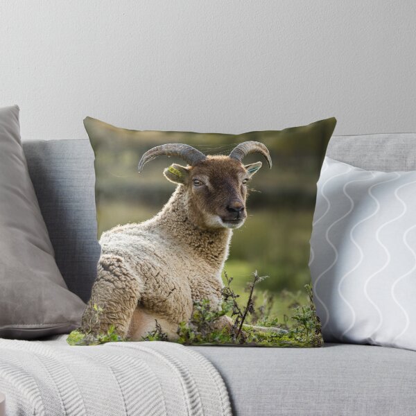 Item preview, Sheep and Spider Webs designed and sold by Jane Stanley Photography.