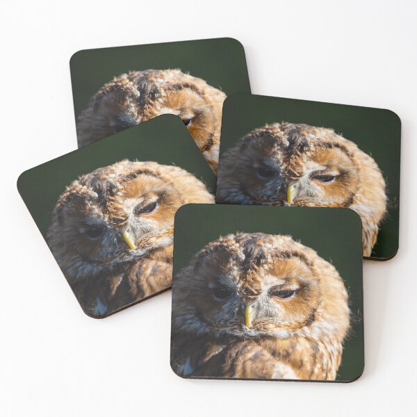 Item preview, Tawny Owl, Strix aluco designed and sold by Graham Prentice.